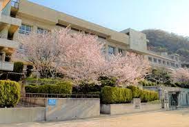 新築戸建 一戸建て柏原市高井田 全２邸 一戸建て第３期の詳細情報 大阪府柏原市大字高井田 写真21 センチュリー21ホームマート