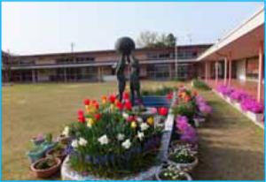 新築戸建 一戸建て丹波市町（天理駅） 3880万円・3980万円の詳細情報 奈良県天理市丹波市町 写真16 センチュリー21ホームマート