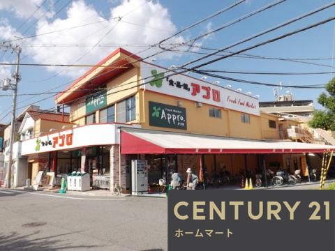 新築戸建 一戸建てRe・Terrechez 尼崎市食満 第２期 全1邸の詳細情報 兵庫県尼崎市食満３ 写真21 センチュリー21ホームマート