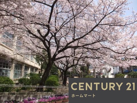 新築戸建 一戸建てRe・Terrechez 尼崎市食満 第２期 全1邸の詳細情報 兵庫県尼崎市食満３ 写真23 センチュリー21ホームマート